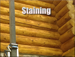  Conway, North Carolina Log Home Staining